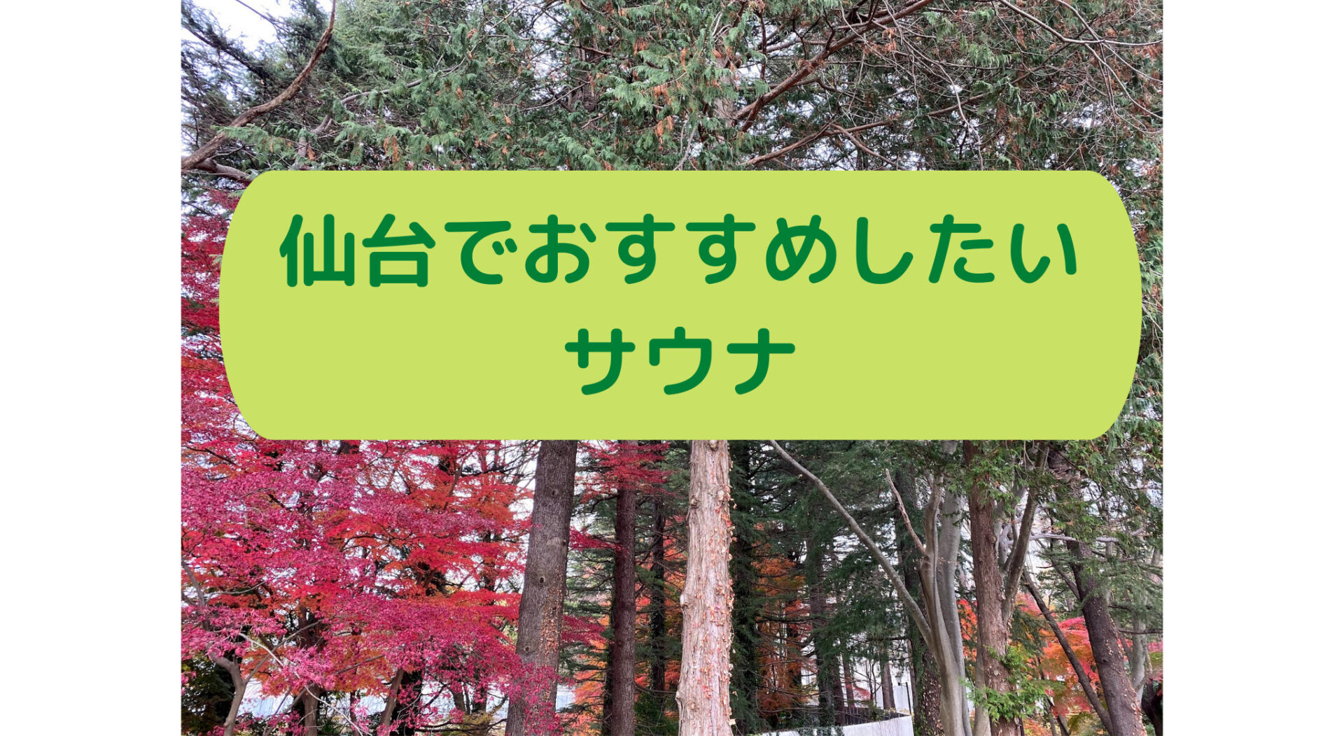 仙台でおすすめしたい３つのサウナ わくてぃぶろぐ